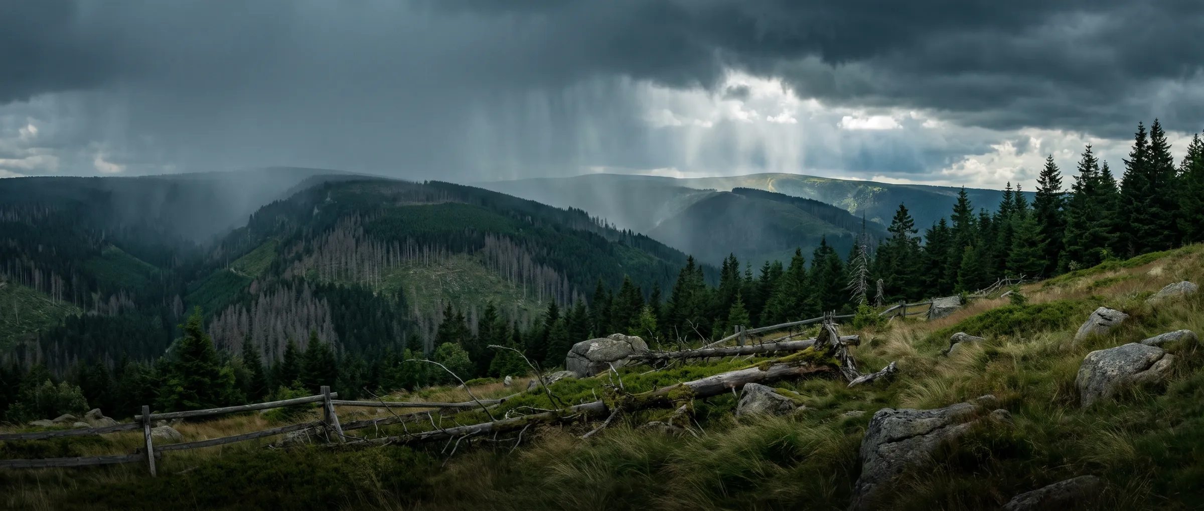 Sturmwolken über Fichtenhängen im Harz, dazwischen abgestorbene Bäume